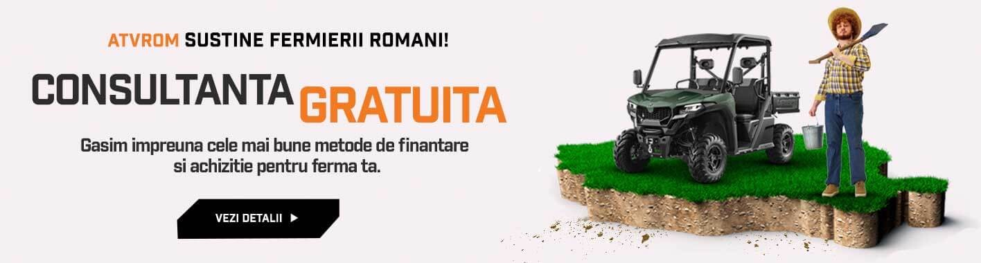 CONSULTANTA