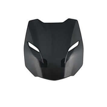 Parbriz 250 NK